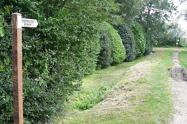 Photo 6"x4" Byway to Horse Fen Fritton\/TG4018 c2008