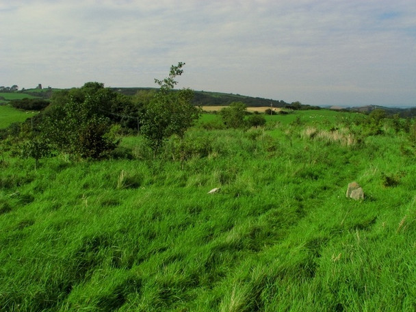 Photo 6"x4" Corrog Wood Portaferry c2008