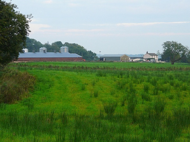 Photo 6"x4" Close Gap Farm Longtown\/NY3868 c2008
