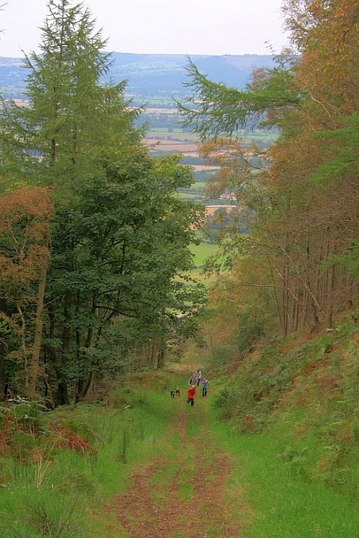 Photo 6"x4" Broughton Bank Great Busby c2008
