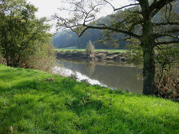 Photo 6"x4" View across the Wye to Aramstone Wood Broadway Lands c2008