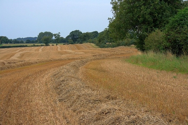Photo 6"x4" Freshly Harvested Field Great Broughton\/NZ5406 c2008