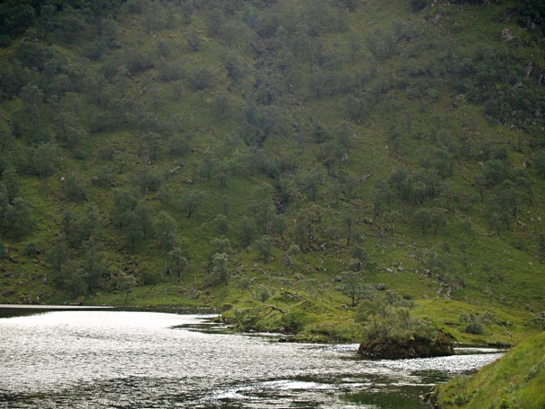 Photo 6"x4" Dubh Lochain Corran\/NG8509 c2008