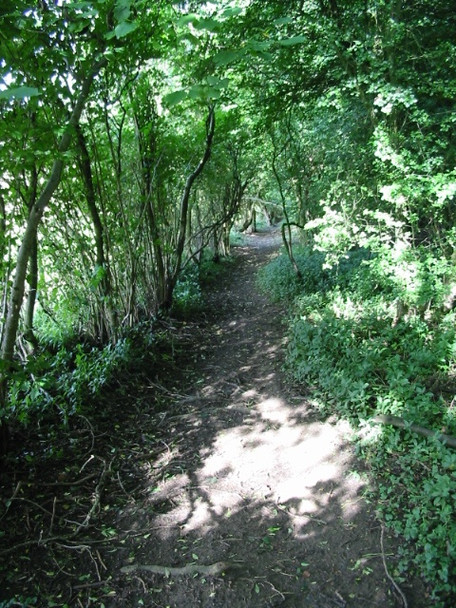 Photo 6"x4" The Elham Valley Way passing through The Beeches Etchinghill\/TR1639 c2008