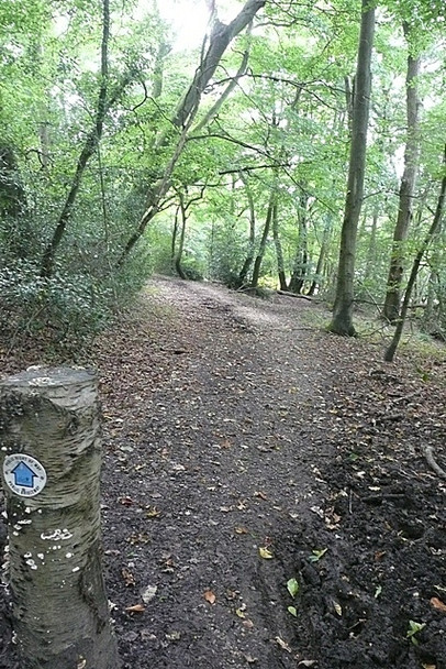 Photo 6"x4" Bridleway to Westrop Green Bucklebury Alley c2008