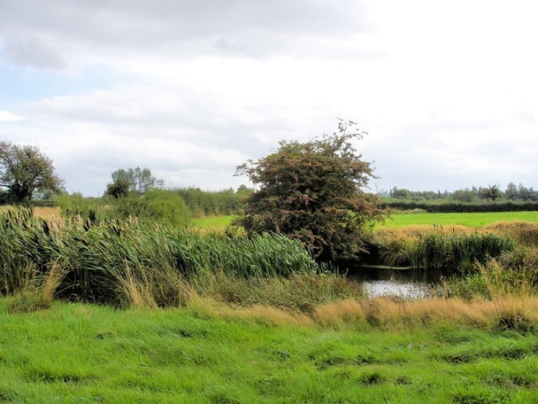 Photo 6"x4" Rowton - footpath 5 Rowton\/SJ4464 c2008