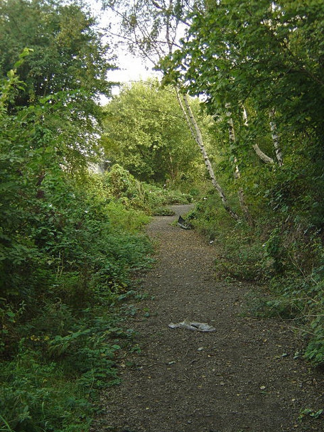 Photo 6"x4" Footpath off Station Road Holbrook\/SK4481 c2008