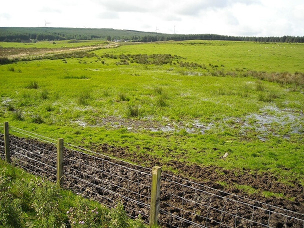Photo 6"x4" Boggy Ground Near Carrot Eaglesham c2008