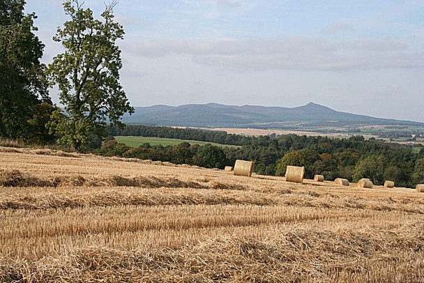 Photo 6"x4" Bales at Braeneil Craigearn c2008