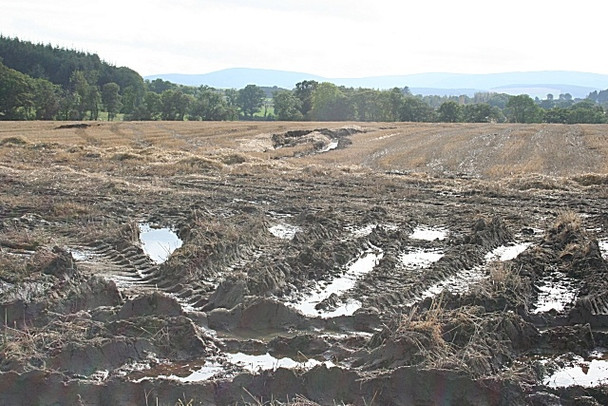 Photo 6"x4" Wet Land Craigearn c2008