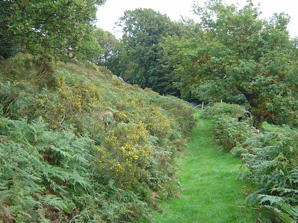 Photo 6"x4" Footpath round Rocher Top Edge Mount c2008