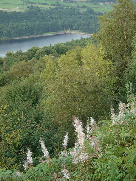 Photo 6"x4" View from Walker Edge Waldershaigh c2008