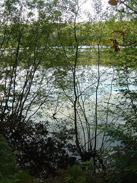 Photo 6"x4" Broomhead reservoir Waldershaigh c2008