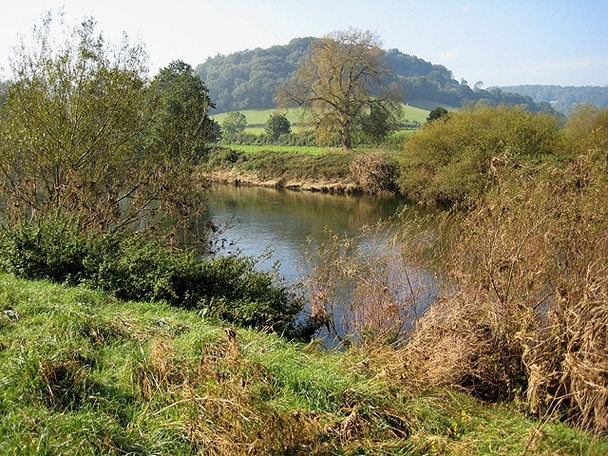 Photo 6"x4" View to Huntsham Hill Great Doward c2008