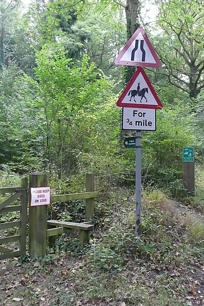 Photo 6"x4" So many signs ... Bucklebury c2008