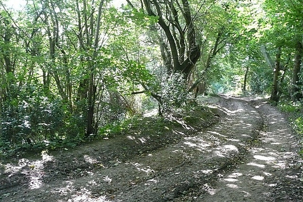 Photo 6"x4" Where three counties meet - Hampshire Linkenholt c2008