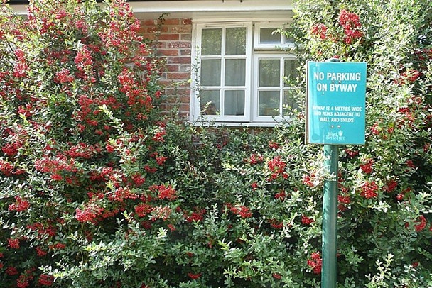 Photo 6"x4" No parking on the byway Frilsham c2008
