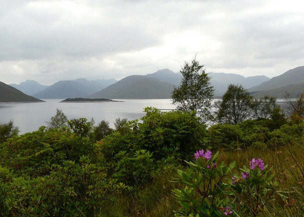 Photo 6"x4" Loch Quoich Allt Coire Peitireach c2008