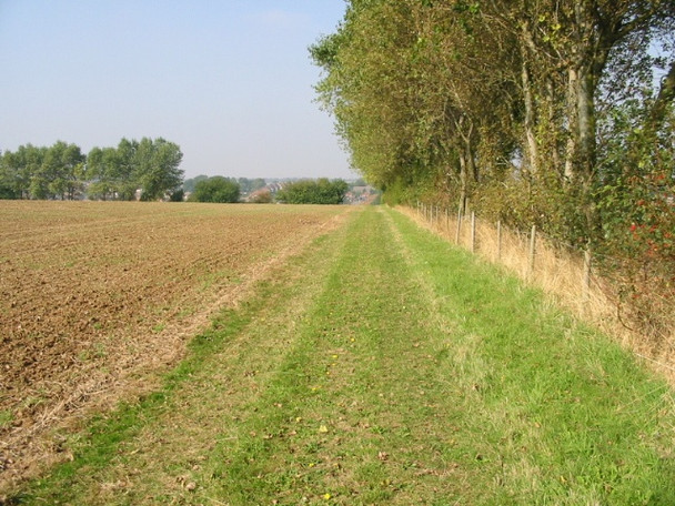 Photo 6"x4" Field boundary to the E of Eythorne Eythorne c2008