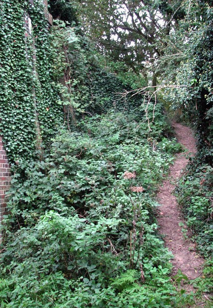 Photo 6"x4" Accessing the Weavers Way Hyltons Crossways c2008