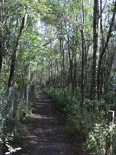 Photo 6"x4" Sustrans Route 66, Calder Valley Hoo Hole c2008