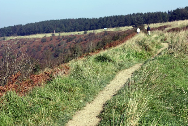 Photo 6"x4" Footpath above Horcum Levisham c2008