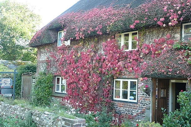 Photo 6"x4" Upton Cottage, Vernham Dean Vernham Dean c2008