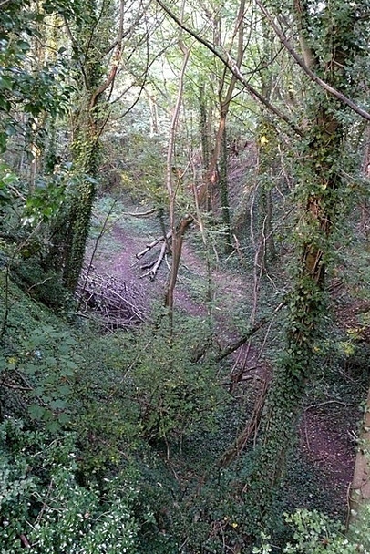 Photo 6"x4" Railway cutting near Four Elms Hermitage\/SU5173 c2008