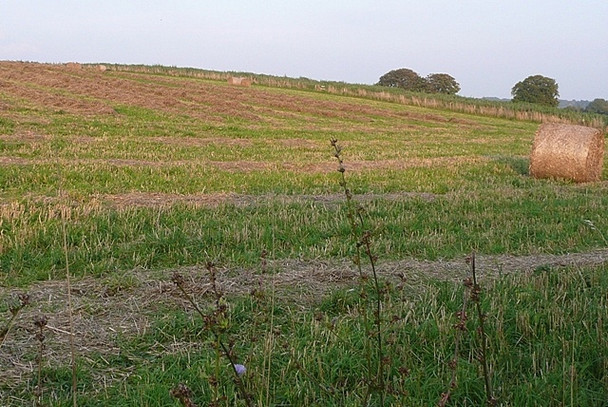 Photo 6"x4" Farmland east of Bothampstead Bothampstead c2008