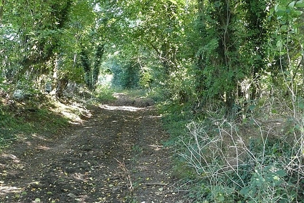 Photo 6"x4" Restricted byway to Stubbles Stubbles c2008