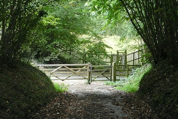Photo 6"x4" Bridleway at Common Hill Parker's Corner c2008