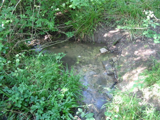 Photo 6"x4" Small stream from nearby springs Etchinghill\/TR1639 c2008