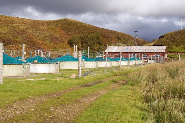 Photo 6"x4" Elphin Hatchery Elphin\/NC2111 c2008