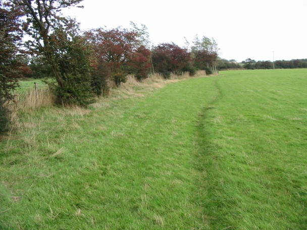 Photo 6"x4" Looking E along the Pilgrims Way Arpinge c2008