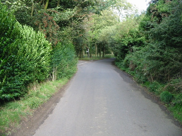 Photo 6"x4" Teddars Leas Road Etchinghill\/TR1639 c2008