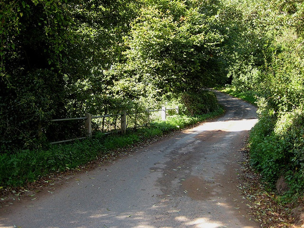 Photo 6"x4" Bridge over Llanerch Brook Penguithal c2008