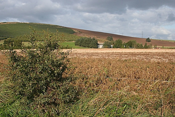 Photo 6"x4" Braeside of Rothmaise North Rayne c2008