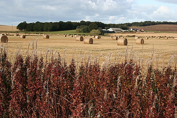 Photo 6"x4" Fields near Auchinhove Fisherford c2008