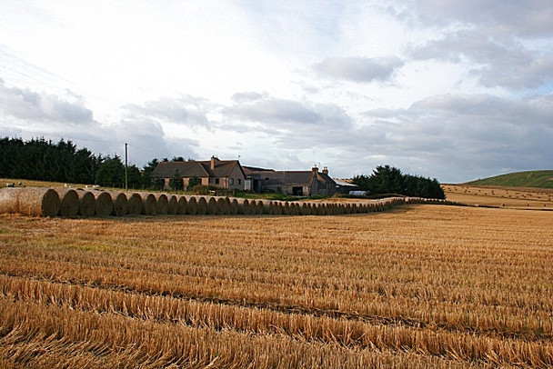 Photo 6"x4" Bales at Bush Fisherford c2008