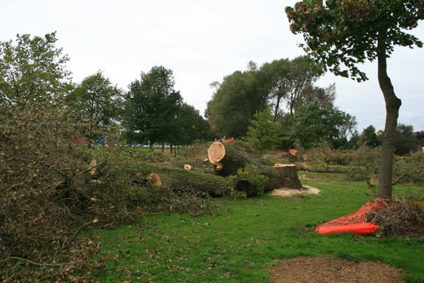 Photo 6"x4" The End of More Trees Long Eaton c2008
