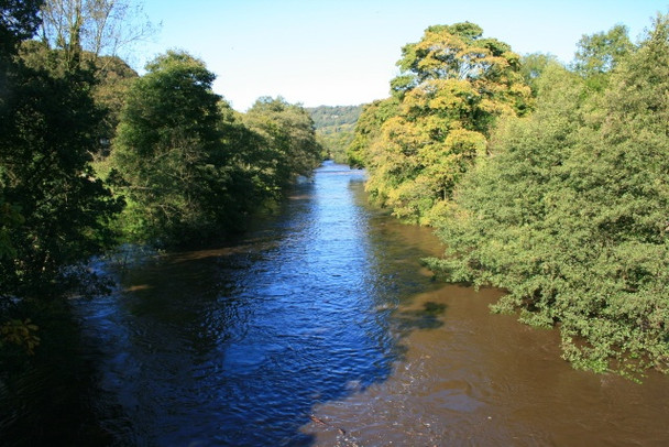 Photo 6"x4" The Derwent in Spate Crich Carr c2008