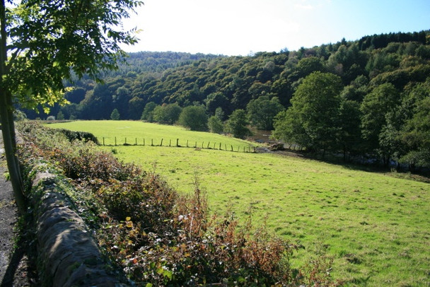 Photo 6"x4" The Derwent Valley Crich Carr c2008