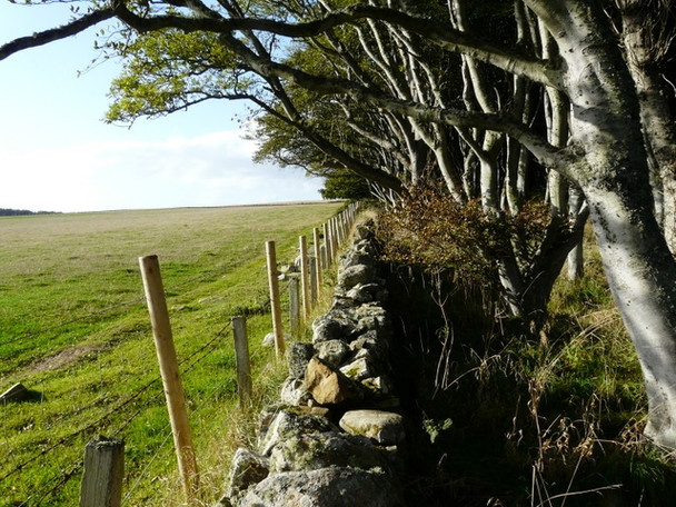 Photo 6"x4" Old wall, new fence Toulvaddie c2008
