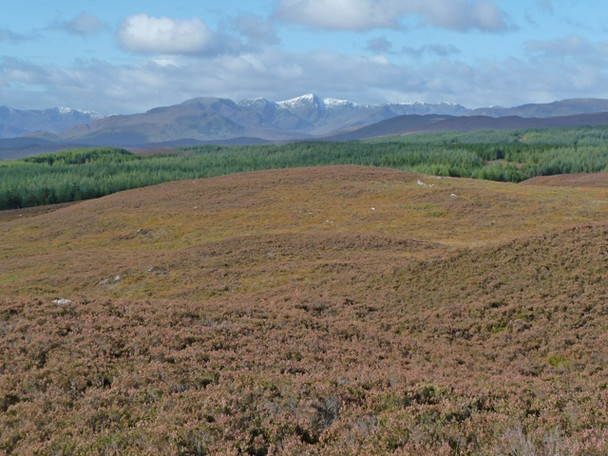 Photo 6"x4" Moorland above Dundreggan Dalchreichart c2008