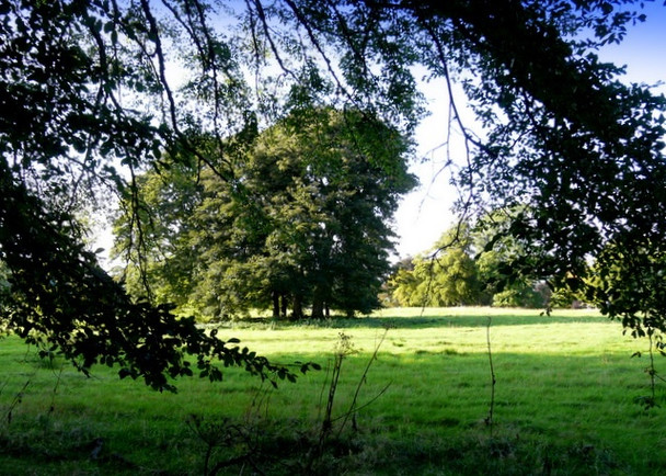 Photo 6"x4" Parkland near Geanies House Toulvaddie c2008