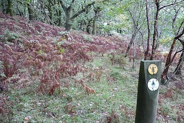 Photo 6"x4" Coed Morgannwg Way Merthyr Tydfil c2008