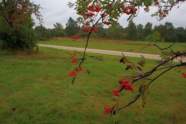 Photo 6"x4" Walesby Scout Camp Haughton\/SK6772 c2008