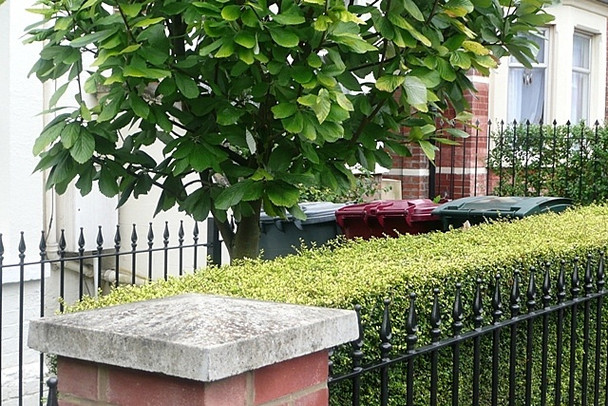Photo 6"x4" A tidy plot Reading c2008