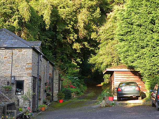 Photo 6"x4" Footpath through the trees Joy's Green c2008