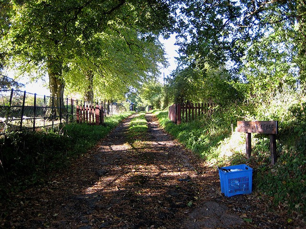 Photo 6"x4" Recycling day Llangarron c2008